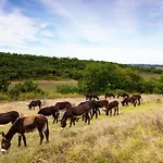 Hitton Sejours Nature * Biran