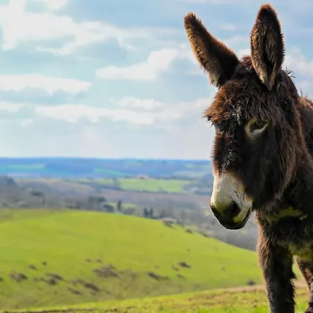 Lantgård Hitton Sejours Nature Biran