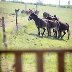 Hitton Sejours Nature * Biran