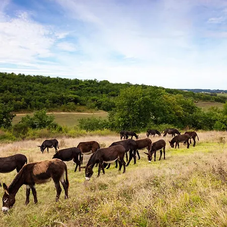 Hitton Sejours Nature * Biran