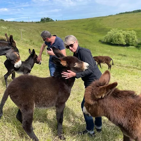 Hitton Sejours Nature * Biran