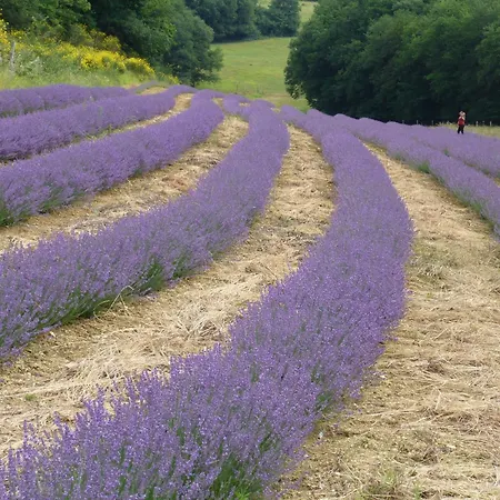 Hitton Sejours Nature