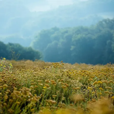 Farma Hitton Sejours Nature Biran