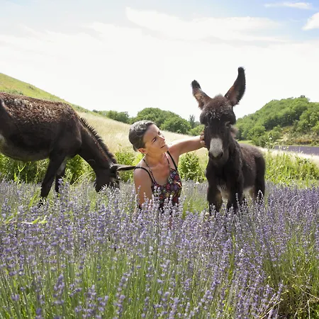 Hitton Sejours Nature Alojamento de Turismo Rural
