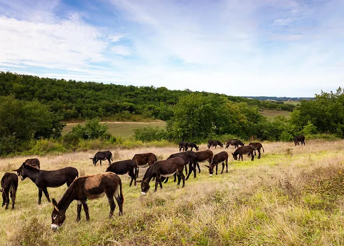 Hitton Sejours Nature * Biran