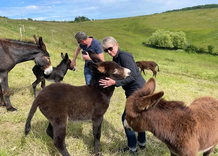 Hitton Sejours Nature * Biran