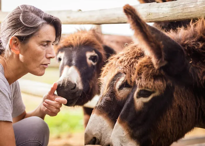 Hitton Sejours Nature * Biran