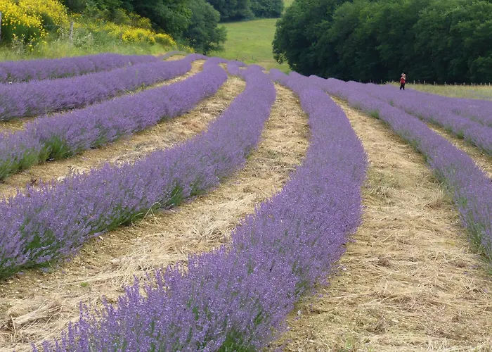 Hitton Sejours Nature