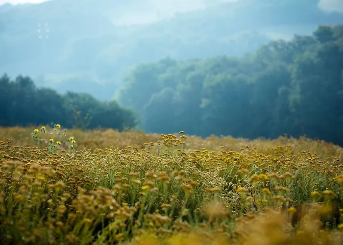 Feriegård Hitton Sejours Nature Biran