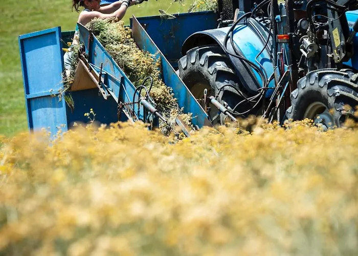 Feriegård Hitton Sejours Nature *